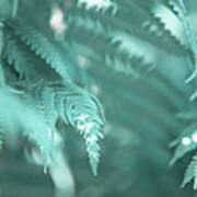 Fern Leaves Abstract 4. Nature In Alien Skin Art Print