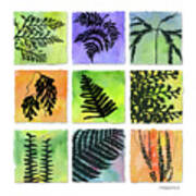 Ferns Of Hawaii Art Print