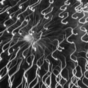 Fireworks Abstract In Black And White 1 Art Print
