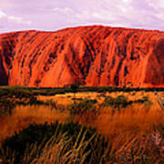 First Light - Uluru, Australia Art Print