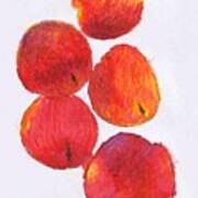 Five Nectarines Art Print