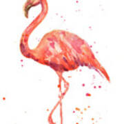 Flamingo Facing Left Art Print