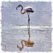 Flamingo Ripples And Reflections Watercolor Art Print