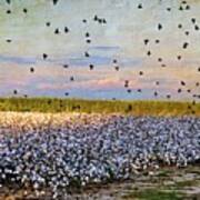 Flight Over The Cotton Art Print