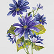 Floral Botanicals-jp3781 Art Print