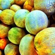 Florida Cantaloupe Art Print