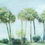 Florida Palms Ii Art Print