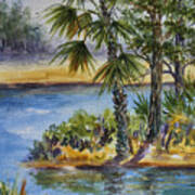 Florida Pine Inlet Art Print