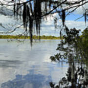 Florida Reflections Art Print