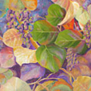 Florida Sea Grape Tree Art Print
