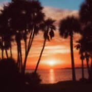 Florida- Sunset Memories Art Print