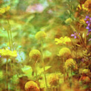 Flower Garden 1310 Idp_2 Art Print