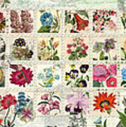 Flower Stamps Art Print by MGL Meiklejohn Graphics Licensing - Fine Art  America
