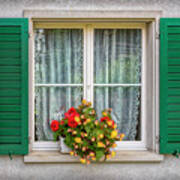 Flowers In The Window With The Green Shutters Art Print