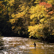 Fly Fisherman On The Tellico - D010008 Art Print