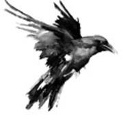 Flying Raven Art Print