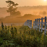 Foggy Fence Art Print