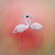 Fond Flamingos Art Print
