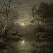 Forest Landscape In The Moonlight Art Print