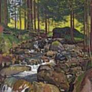 Forest Mountain Stream Art Print