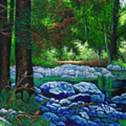 Forest Stream Art Print