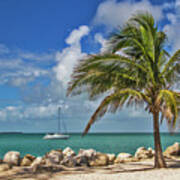 Fort Zachary Taylor State Park - Find Paradise In Key West Florida Art Print