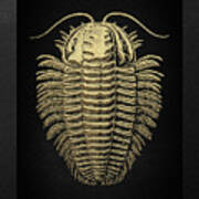 Fossil Record - Golden Trilobite On Black No.1 Art Print
