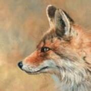 Fox Portrait Art Print