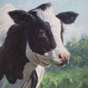 Friesian Cow Portrait Art Print