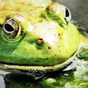 Frog Close Up Art Print