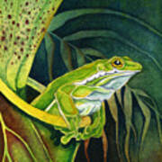 Frog In Pitcher Plant Art Print