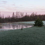 Frosty Morning - Quiet Pinks And Greens At The Pond Art Print