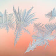 Frozen Fractals 01 Art Print