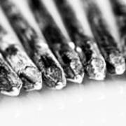 Galvanized Nails Art Print