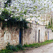 Garden Wall In Bath Art Print