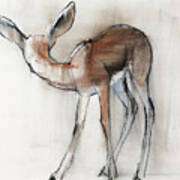 Gazelle Fawn  Arabian Gazelle Art Print