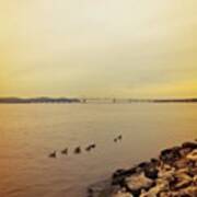 Geese And The Tappan Zee Art Print