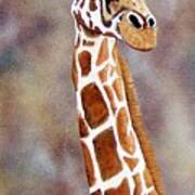 Gentle Giraffe Art Print
