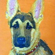 German Shepherd Dog Art Print