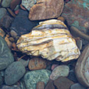 Glacier Park Creek Stones Submerged Art Print
