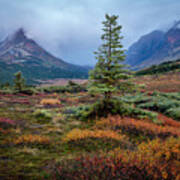 Glen Alps In The Autumn Rain Art Print