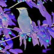 Glowing Cedar Waxwing Art Print