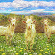 Goats In The Dandelions Art Print