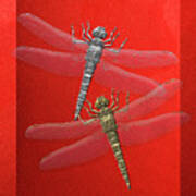 Gold And Silver Dragonflies On Red Canvas Art Print