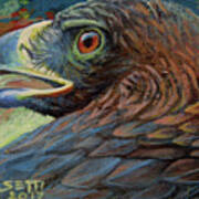 Golden Eagle Art Print