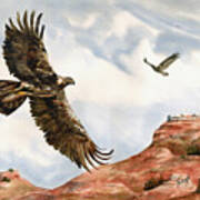Golden Eagles In Fligh Art Print