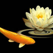 Golden Harmony - Koi Carp With Water Lily Art Print