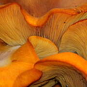 Golden Mushroom Abstract Art Print