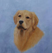 Golden Retriever Portrait Art Print