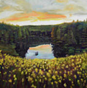 Goldenrods On Davenport Lake-ellijay, Ga Art Print